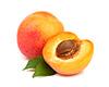 apricot preserve